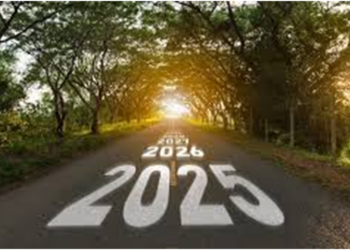 2025: ¿hacia dónde vamos?. Tecnofeudalismo, tecnocapitalismo, turbocapitalismo.