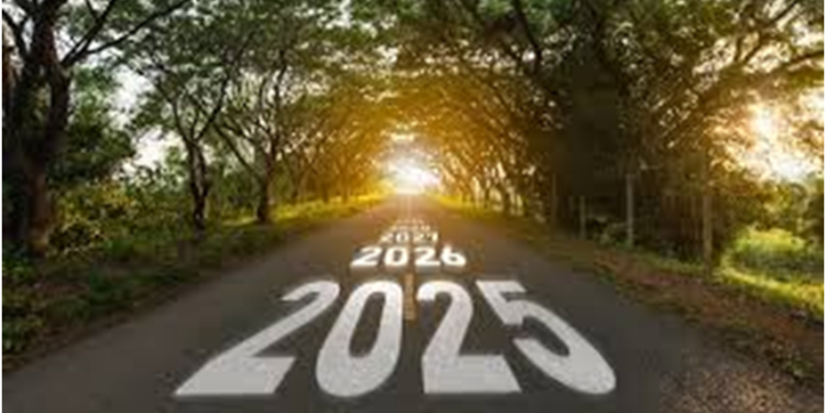 2025: ¿hacia dónde vamos?. Tecnofeudalismo, tecnocapitalismo, turbocapitalismo.