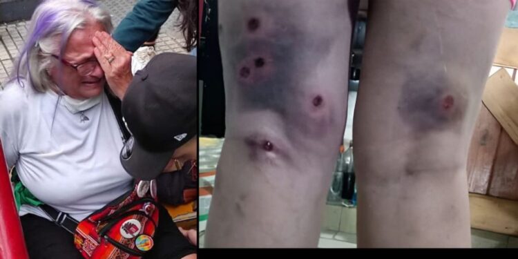 Ana María Tapia de Jubilados Insurgentes: “Seguiremos resistiendo, insistiendo y nunca desistiendo”