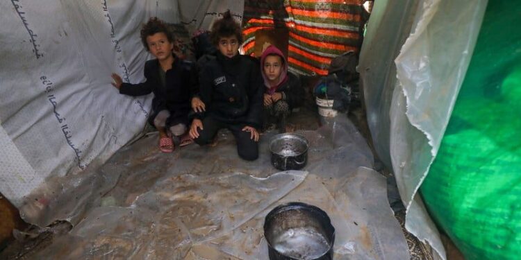 Hambruna en Gaza: ¿continuaremos mirando mientras Gaza muere de hambre?