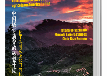 (Modo Imperial de Acumulación Chino). Transformaciones del consumidor urbano en China.