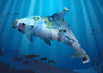 Antropoceno: ¿una nueva época geológica?