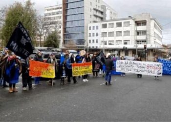 Wallmapu. Movilización por la defensa de los ríos Biobío y Pilmaiken