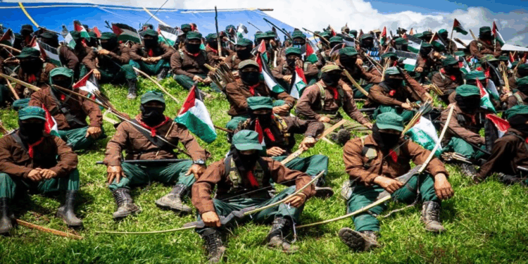 México. Movimiento zapatista condena genocidio capitalista en Palestina