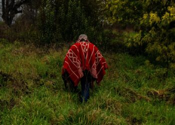 |PDF| Raíces de resistencia