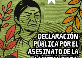 Declaración pública por el asesinato de la lamien Julia Chuñil Catricura y Cholito