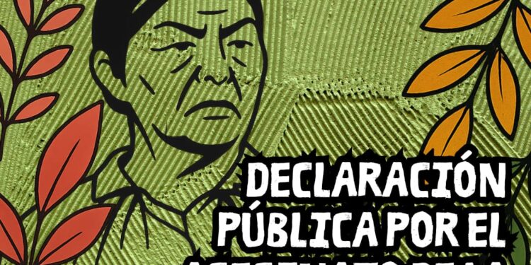 Declaración pública por el asesinato de la lamien Julia Chuñil Catricura y Cholito