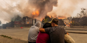 Desde la solidaridad a la organización: Ñuble y Biobío después del fuego