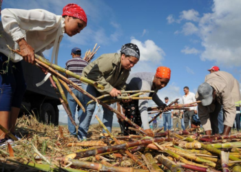 “Sobrevivir en Cuba: la vida cotidiana de un pueblo que inventa y resiste en medio de la crisis”